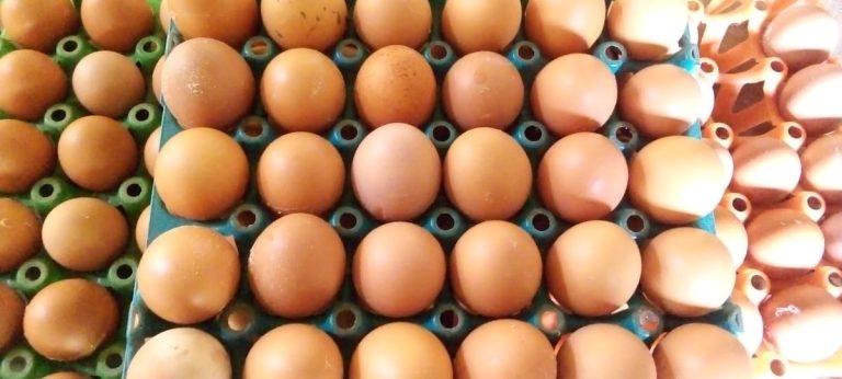 crate-of-eggs-in-nigeria